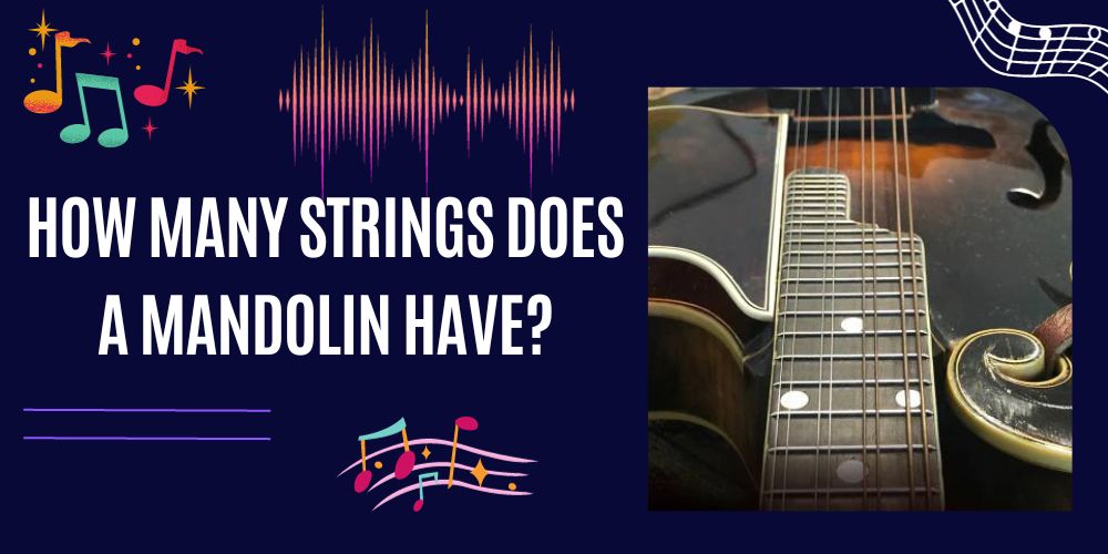 How Many Strings Does A Mandolin Have