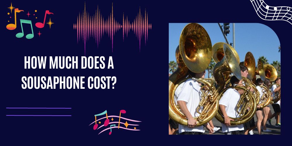 How Much Does A Sousaphone Cost